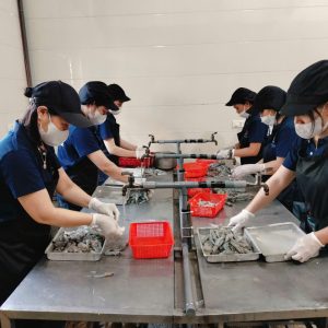 Hải sản Hải Phượng